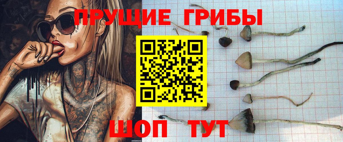 Псилоцибиновые грибы MAGIC MUSHROOMS Троицк