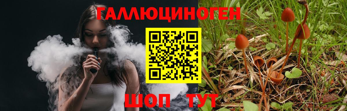 Троицк  Псилоцибиновые грибы прущие грибы  Вход с VPN 